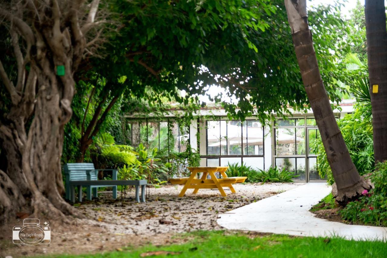 Eden Inn Zihron Yaakov Exterior foto